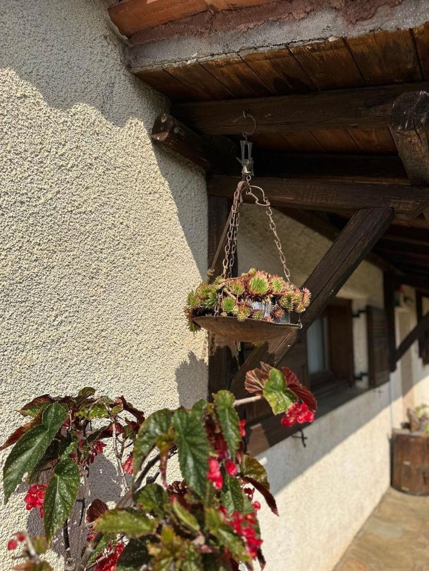 Eleni Country Cottage 2 Pheneos Exterior foto